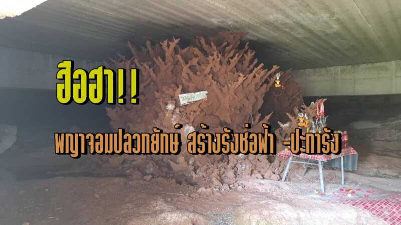 พญาจอมปลวกยักษ์-"Giant Termite Hill Phaya"