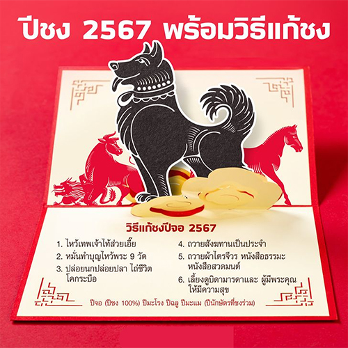 วิธีแก้ชงปีจอ-"How to solve the problem of the Year of the Dog"