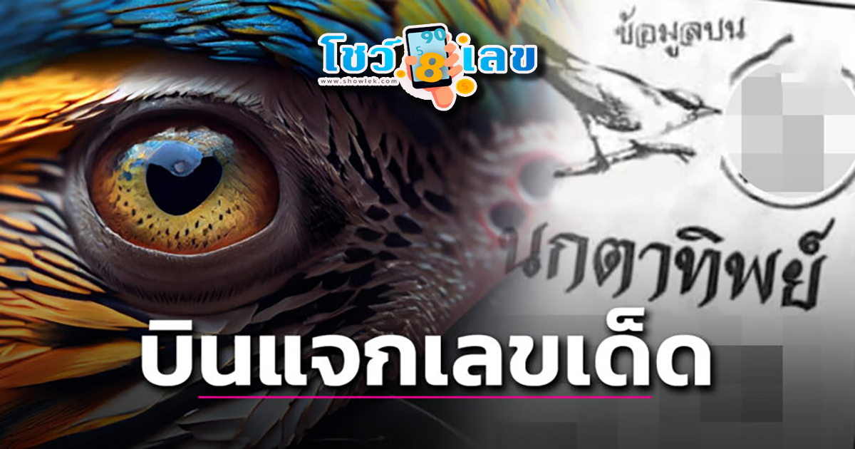นกตาทิพย์  30 12 66 ส่องเลย เลขเด็ดมาแรง งวดนี้ เลขเด็ดสวยมาก