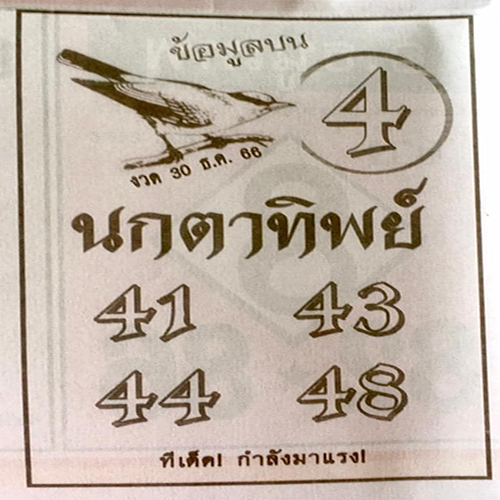 นกตาทิพย์ 30 12 66 - "Nok Ta Thip 30 12 66"