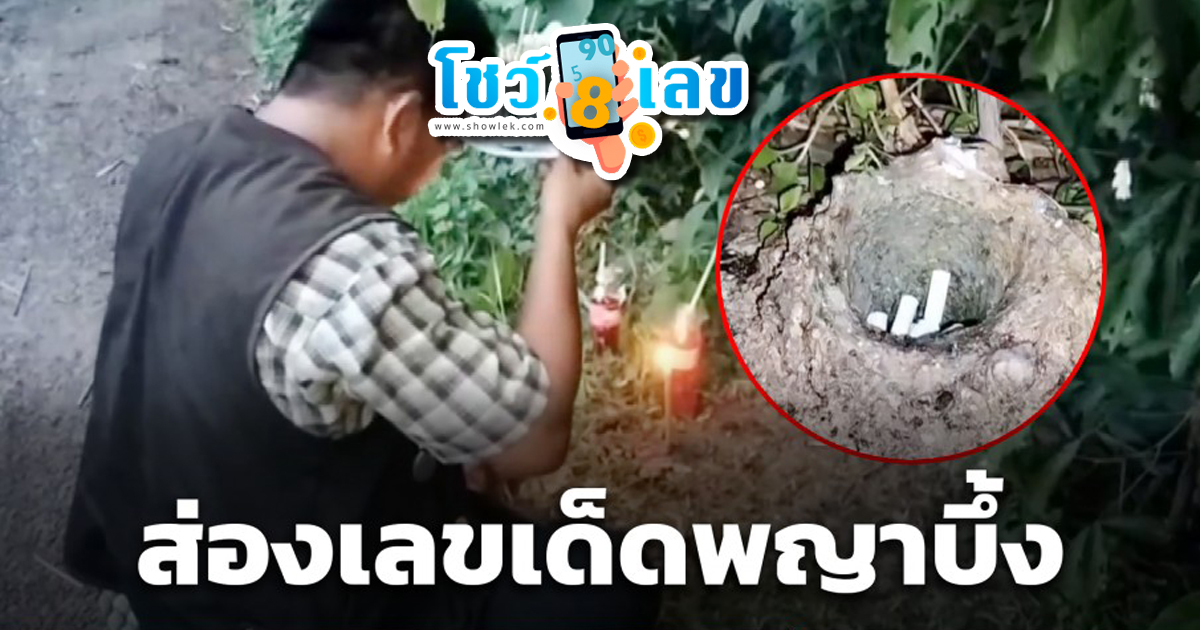 เลขพญาบึ้ง  30 12 66 แจกกันฟรีๆ แนวทางหวยรัฐบาลไทย แม่นๆ