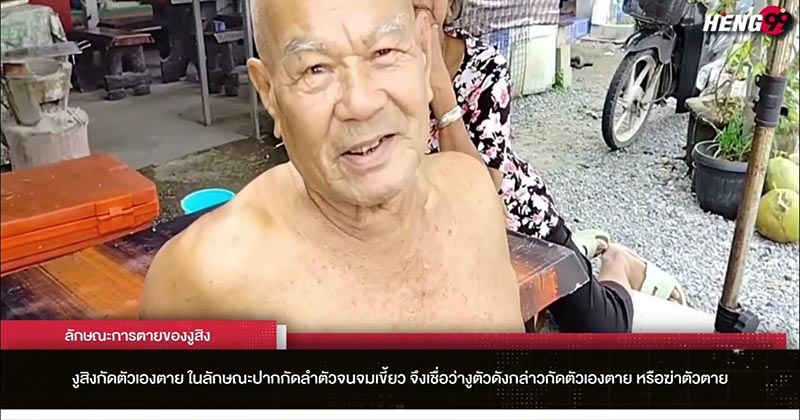 งูสิงกัดตัวเองจมเขี้ยว - " the-snake-bites-itself-and-sinks-its-fangs "