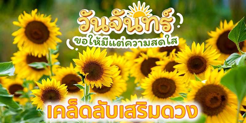 เคล็ดลับเสริมดวง-"Tips to improve your luck"