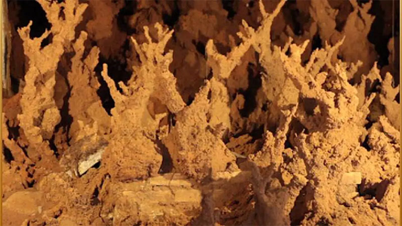 จอมปลวกยักษ์-"giant anthill"