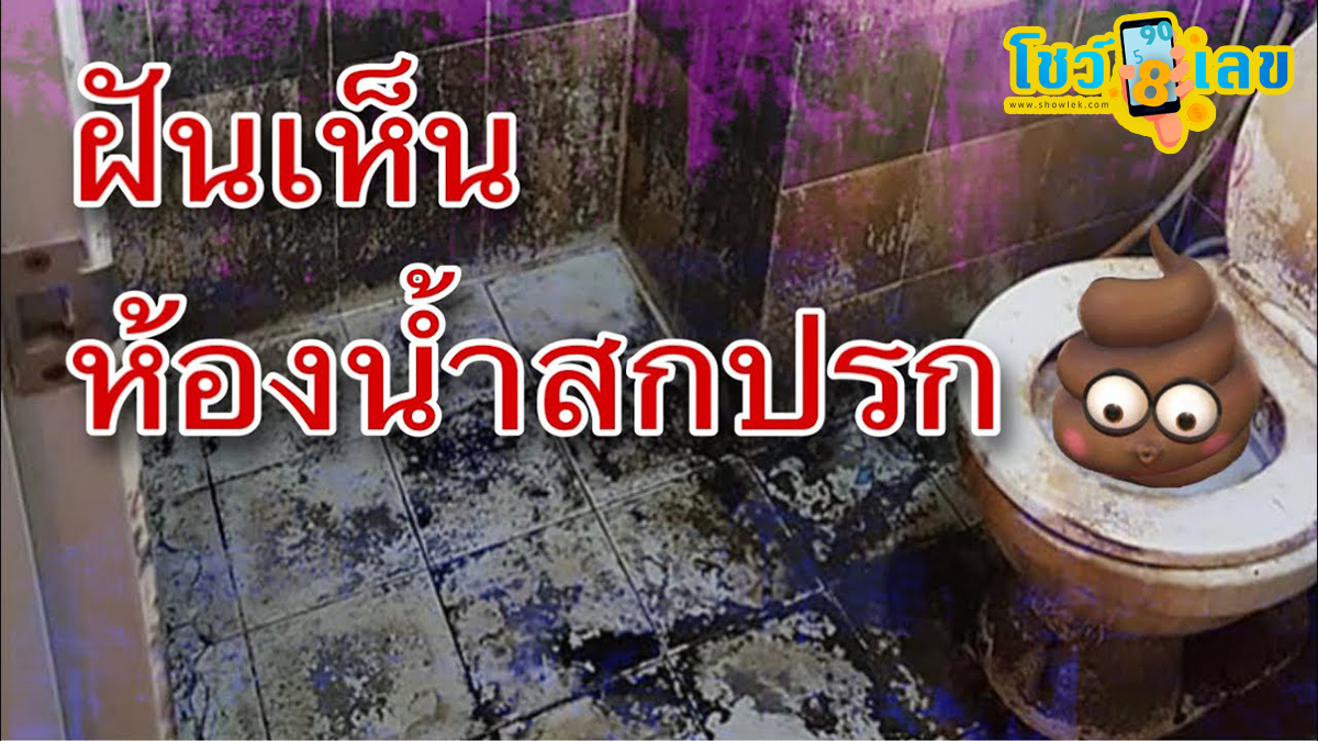 ทำนายฝัน เลขเด็ด ฝันเห็นห้องน้ำสกปรก หมายความว่าอย่างไร? ดูคำทำนายฝัน พร้อมเลขให้โชค