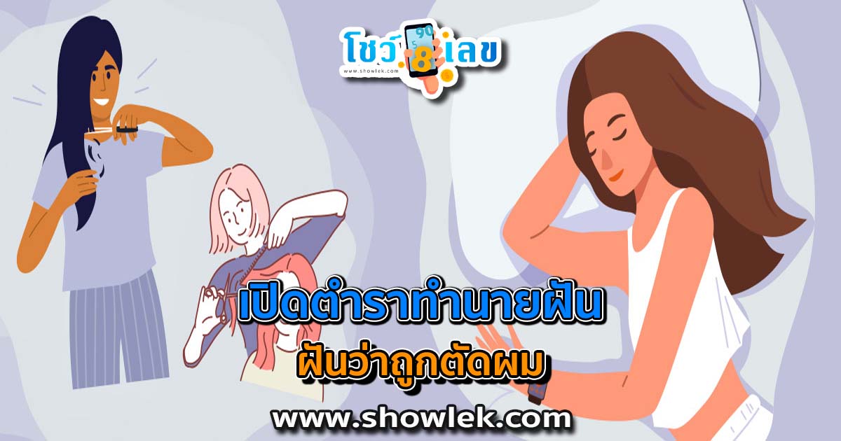 เปิดตำราทำนายฝัน ฝันว่าถูกตัดผม ดีไหม มีเรื่องอะไรต้องระวังหรือเปล่า? พร้อมเลขเด็ด เช็กได้เลยที่นี่!