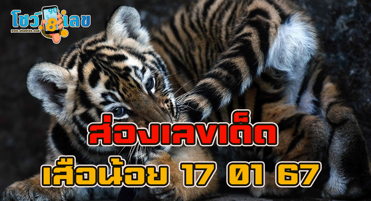 เลขเสือน้อย 17 01 67 แนวทางหวยรัฐบาลไทย หวยเด็ดงวดนี้ เข้าทุกงวด คอหวยไม่พลาดส่องเลขเด็ด