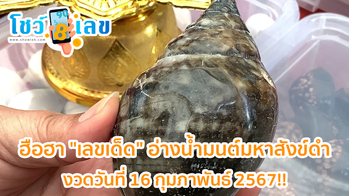 ฮือฮา “เลขเด็ด” อ่างน้ำมนต์มหาสังข์ดำ คอหวยส่องน้ำตาเทียนลุ้นโชค คอหวยไม่ควรพลาดเลขเด็ด งวดวันที่ 16 กุมภาพันธ์ 2567!!