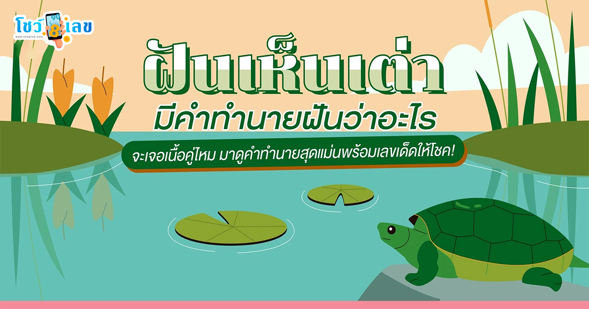 ฝันเห็นเต่า 2 ตัว ทำนายฝันว่าอะไร จะเจอเนื้อคู่ไหม พร้อมส่องเลขเด็ด! กับ เว็บโชว์เลข ดอดคอม