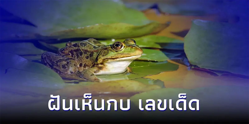 ฝันเห็นกบตัวใหญ่ เลข-"Dream of seeing a big frog, numbers"