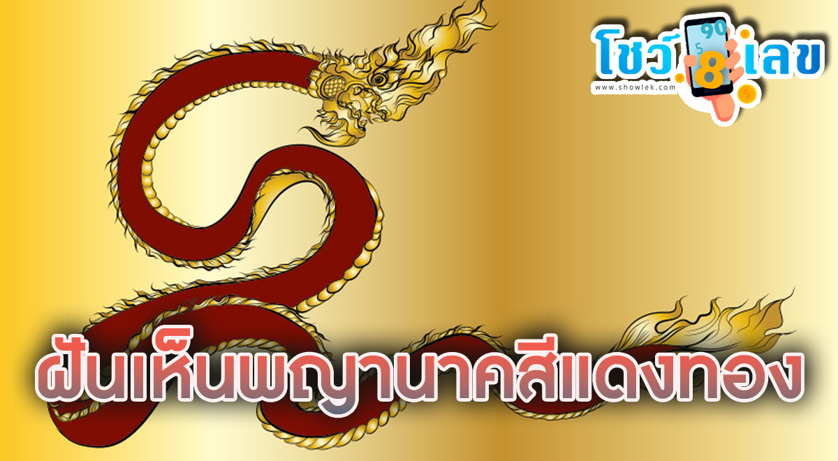 ฝันเห็นพญานาคสีแดงทอง ดูคำทำนายฝันแม่นๆ พร้อมตีเลขเด็ดจากทำนายฝัน กับเราได้ที่นี่