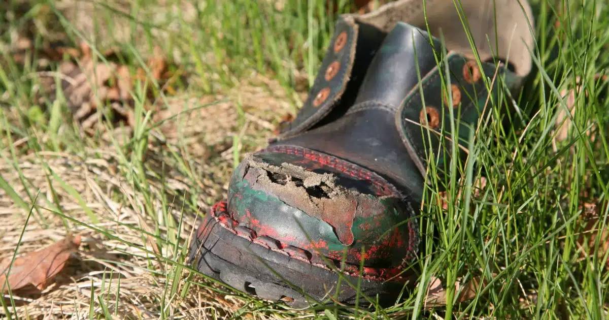 ฝันว่ารองเท้าขาด 1 ข้าง-"Dreamed that one shoe was missing."