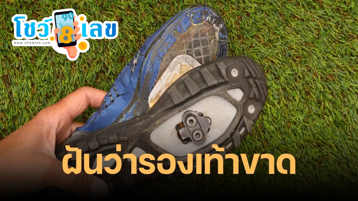 ฝันว่ารองเท้าขาด 1 ข้าง ฝันเห็นรองเท้าขาด 2567 ฝันของใครหลายคน แนะนำเลขเด็ดน่าสนใจ พร้อมความหมาย!!