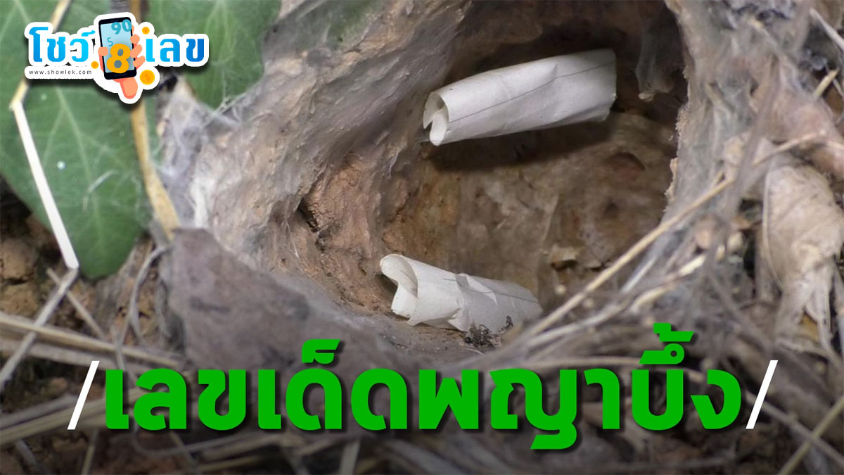 คอหวยทำพิธีขอเลขเสี่ยงทาย “พญาบึ้ง” หลังวัดโบสถ์ราชศรัทธา จ.อ่างทอง ไม่ผิดหวังได้ “เลขเด็ด” ไปลุ้นโชคงวด 1/3/67
