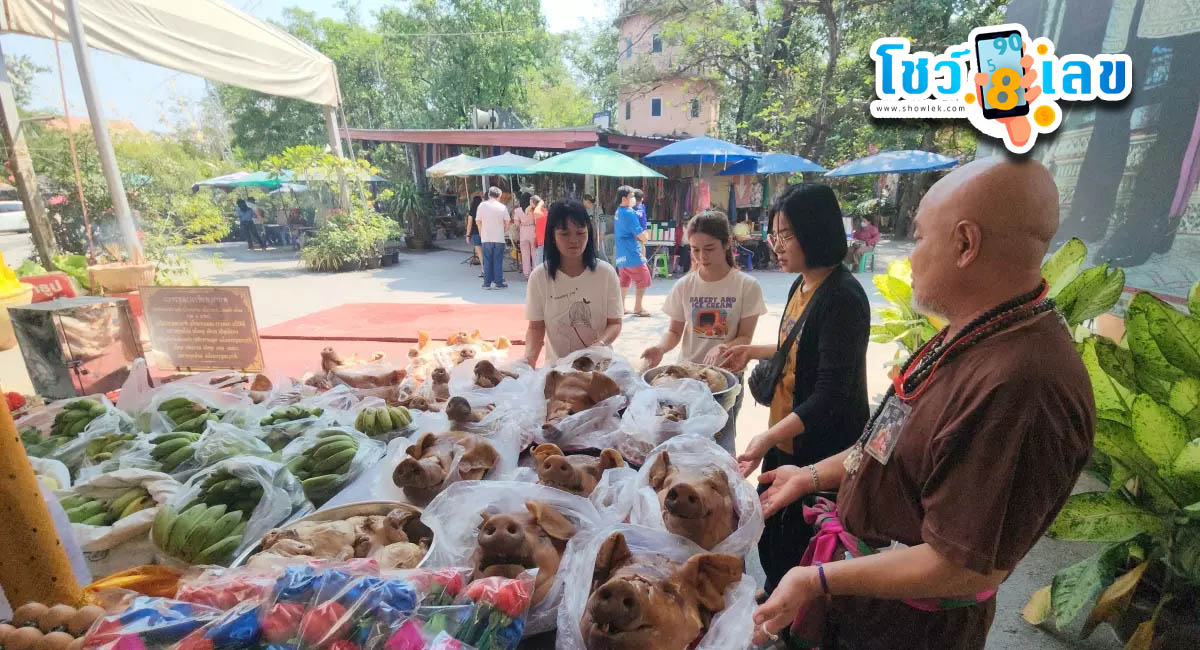 ตาทองงิ้วรายงวดนี้ - "Ta Thong Ngio this period"