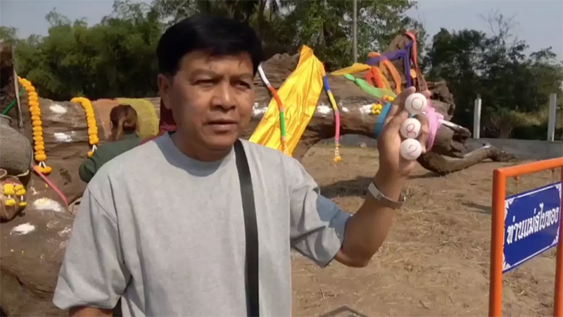 ต้นตะเคียน เจ้าแม่สไบทอง-"Takhian tree, Chao Mae Sabai Thong"