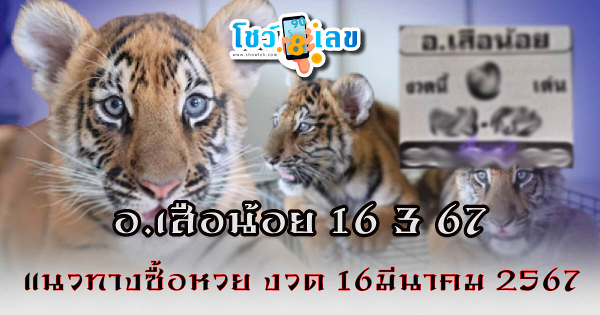 อ.เสือน้อย 16 3 67 งวด 16 มีนาคม 2567 คอหวยห้ามพลาดส่องเลขเด็ด แนวทางหวยรัฐบาลไทยแม่นๆ รีบจดด่วน!!