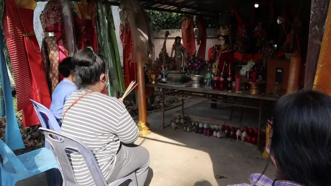 ต้นตะเคียนใหญ่-''Big Takhian tree''