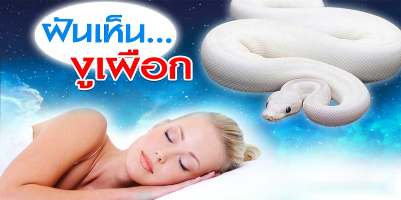 ฝันเห็นงูเผือก-"Dream of seeing an albino snake"