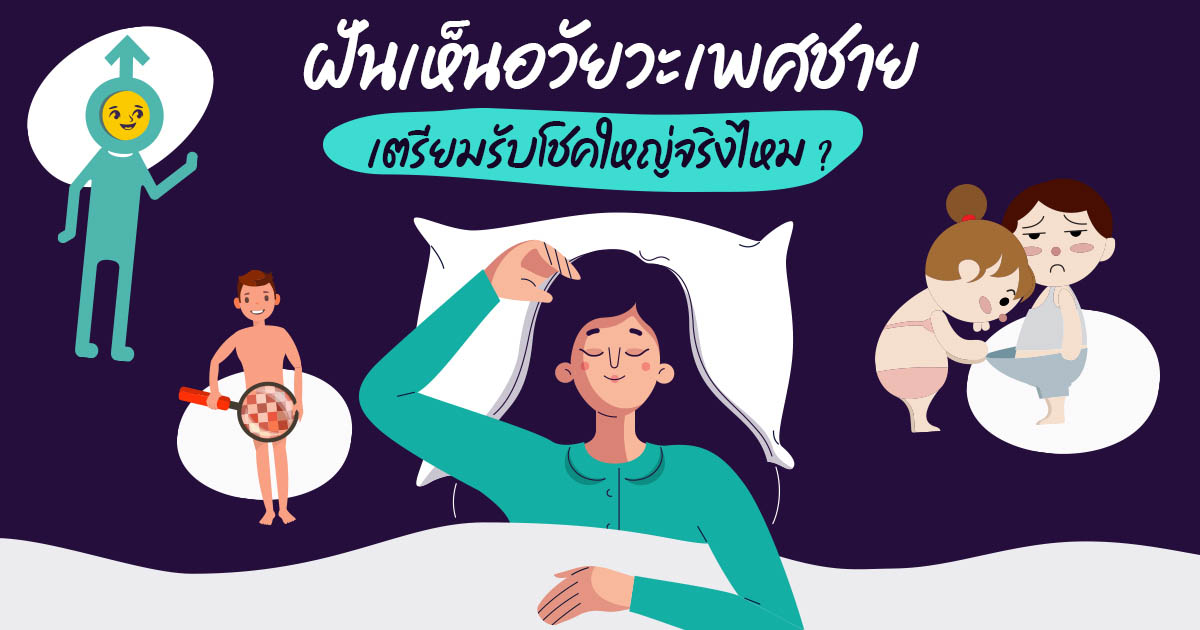 ฝันเห็นอวัยวะเพศชายแข็งตัว - "Dream of seeing an erect penis"