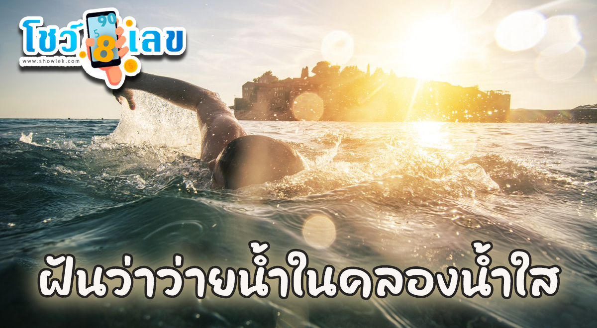 ฝันว่าว่ายน้ําในคลองน้ำใส ทำนายฝันว่าว่ายน้ำ ว่ายน้ำในทะเล ว่ายน้ำข้ามฝั่ง หมายความอย่างไร?