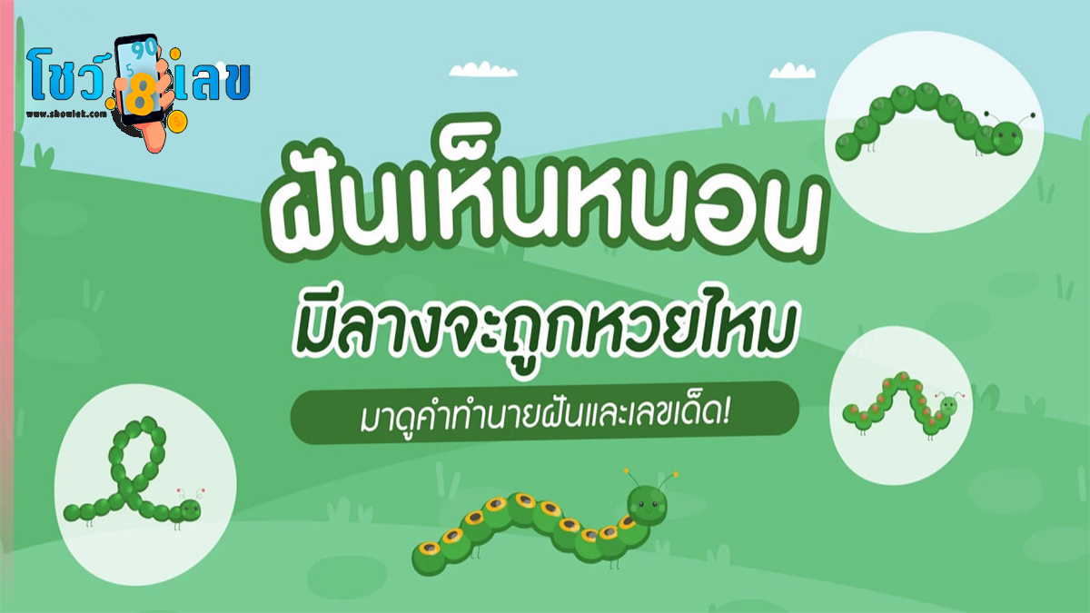 ฝันว่าเห็นหนอน ฝันเกี่ยวกับหนอน มีคำทำนายว่าอย่างไร พร้อมเลขเด็ดให้โชค ดูคำทำนาย แม่น ๆ ได้ที่นี่ โชว์เลข