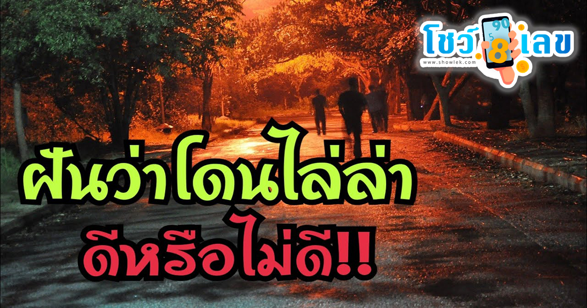 ฝันว่าโดนไล่ล่า - "Dreaming of being chased"
