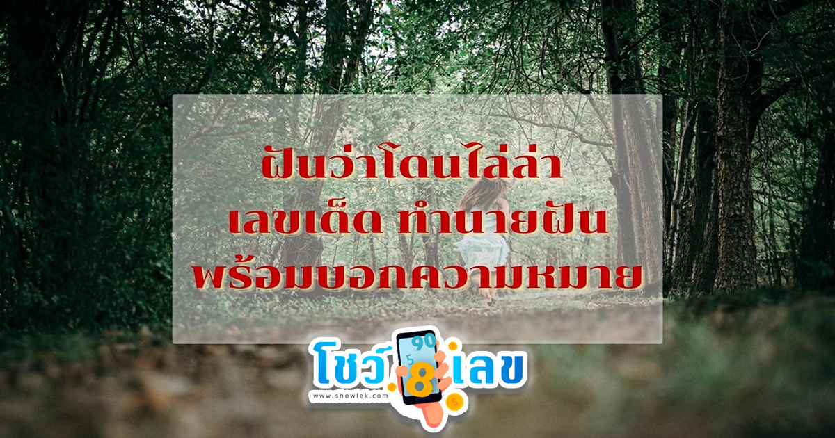 ฝันว่าโดนไล่ล่า ทำนายว่าอย่างไร? พร้อมตีเลขเด็ด ตามความฝัน ดูคำทำนาย แม่น ๆ ได้ที่นี่ โชว์เลข