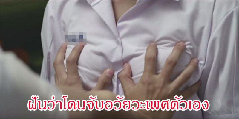 ฝันว่าโดนจับอวัยวะเพศ-"Dreaming about being touched by your genitals"