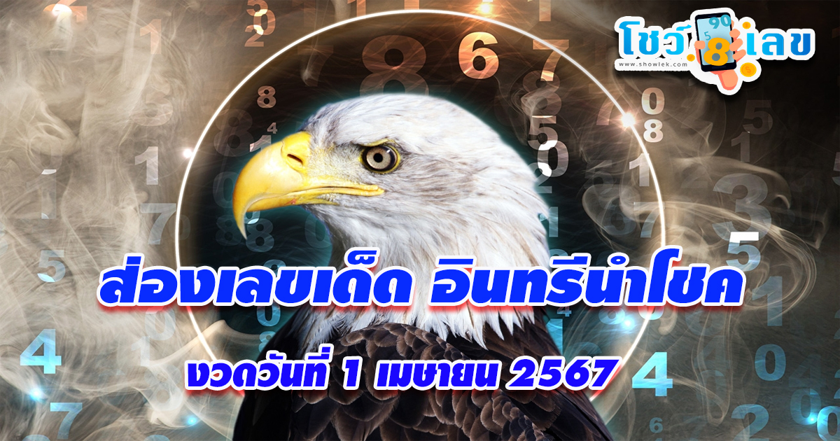 อินทรีนำโชค 1 4 67  มางวดนี้ก็มีเลขให้แบบ 2ตัว 3 ตัวตรง ๆ เน้นๆ คอหวยไม่พลาดส่องเลยที่นี่ showlek.com