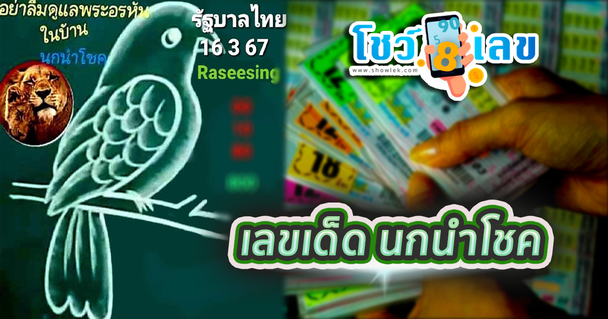 นกนำโชค 16 มีนาคม 2567 คอหวยห้ามพลาดส่องเลขเด็ด แนวทางหวยรัฐบาลไทยแม่นๆ รีบจดด่วน!!