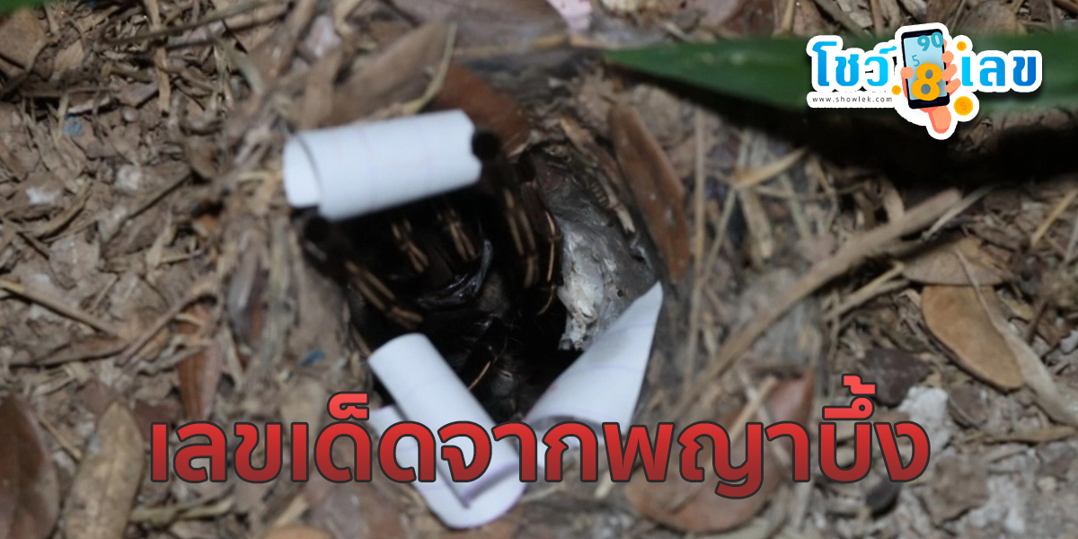มาตามนัด “เลขเด็ด” เสี่ยงทายจากพญาบึ้ง คอหวยส่องไปลุ้นงวด 1/4/67