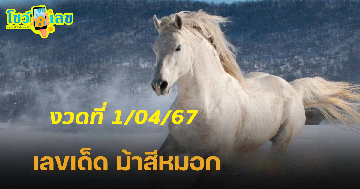 ม้าสีหมอก 1 4 67 เลขเด็ด เลขดังมาแรง แนวทางสลากกินแบ่งรัฐบาลไทย