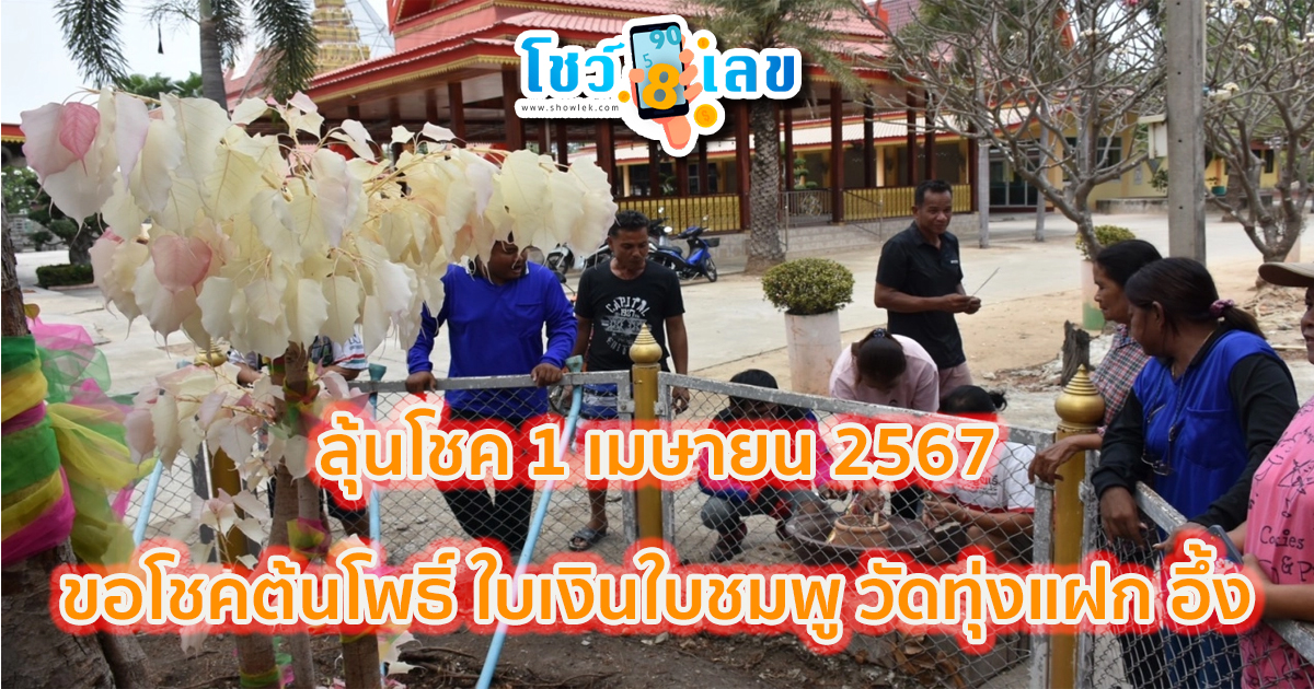 ขอโชคต้นโพธิ์ ใบเงินใบชมพู วัดทุ่งแฝก อึ้ง “เลขเด็ด” งวด 1/4/67 โผล่ที่เทียน ลุ้นหวยรัฐบาลไทย