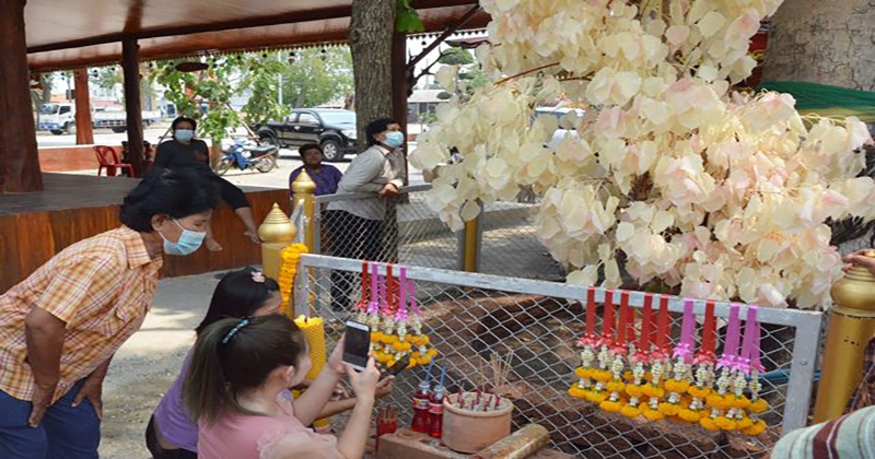 ขอโชคต้นโพธิ์-"Wish for luck on the Bodhi tree"