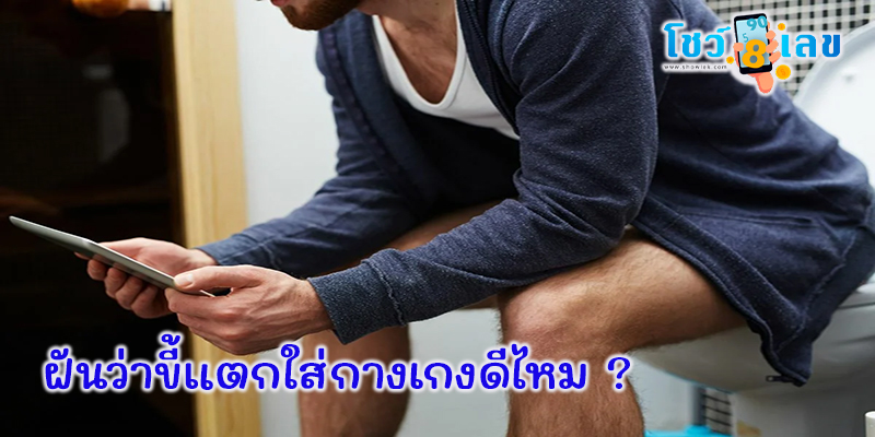 ฝันว่าถ่ายอุจจาระในโถส้วม-"Dream about defecating in the toilet"