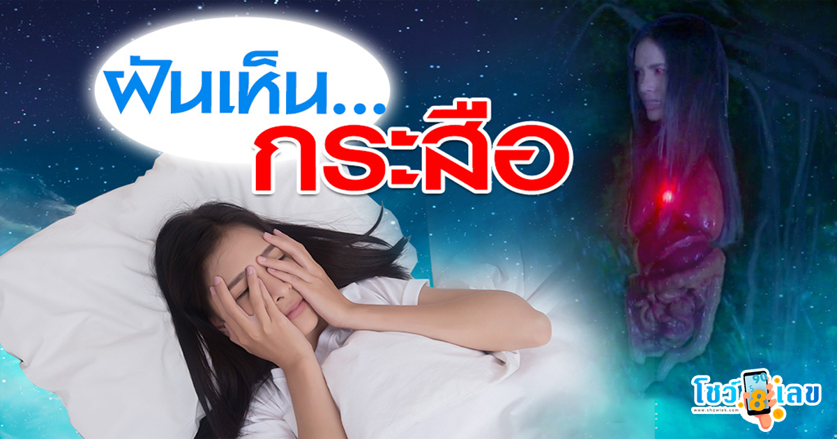 ฝันเห็นกระสือ ทำนายว่าอย่างไร หมายความว่าอย่างไร อ่านคำทำนายได้ที่นี่ showlek เว็บที่รวบรวมข้อมูดีๆมาให้คุณ