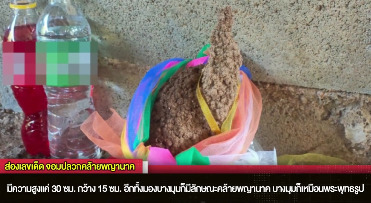 ส่องเลขจอมปลวก-"Dream of seeing an anthill"