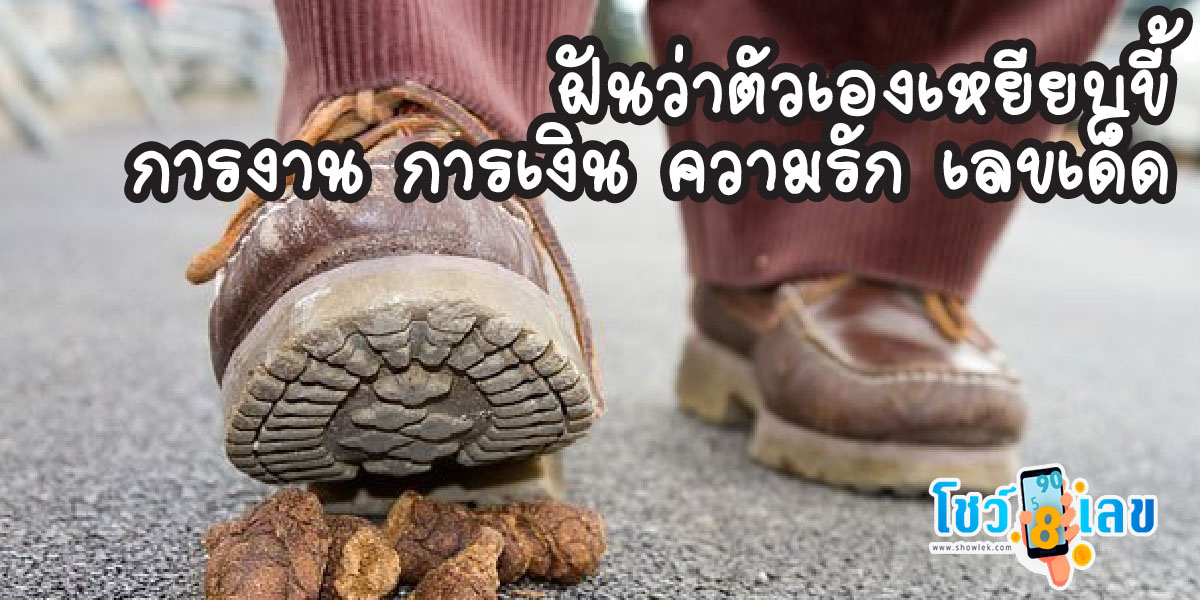 ฝันว่าเหยียบขี้หมา  จะมีโชคจริงไหม ฟรี คำทำนายความฝัน แม่น ๆ พร้อมเลขมงคล ได้ที่นี่ !!