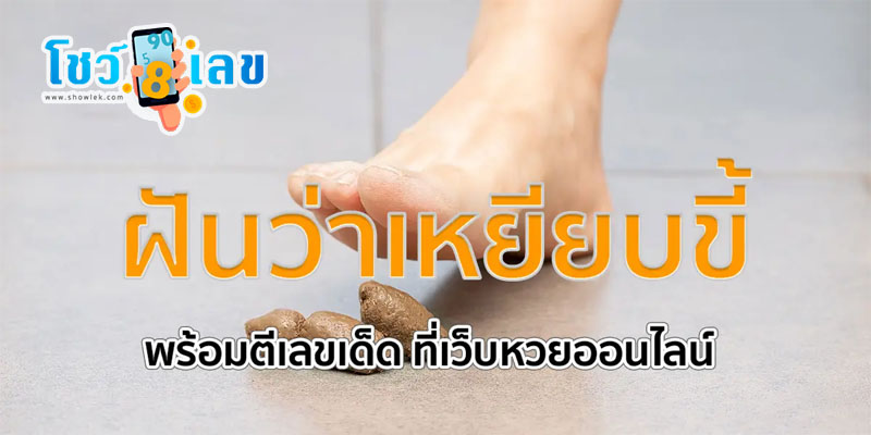 ฝันว่าเหยียบขี้หมาแล้วล้างออก-"Dreamed of stepping on dog poop and washing it off."