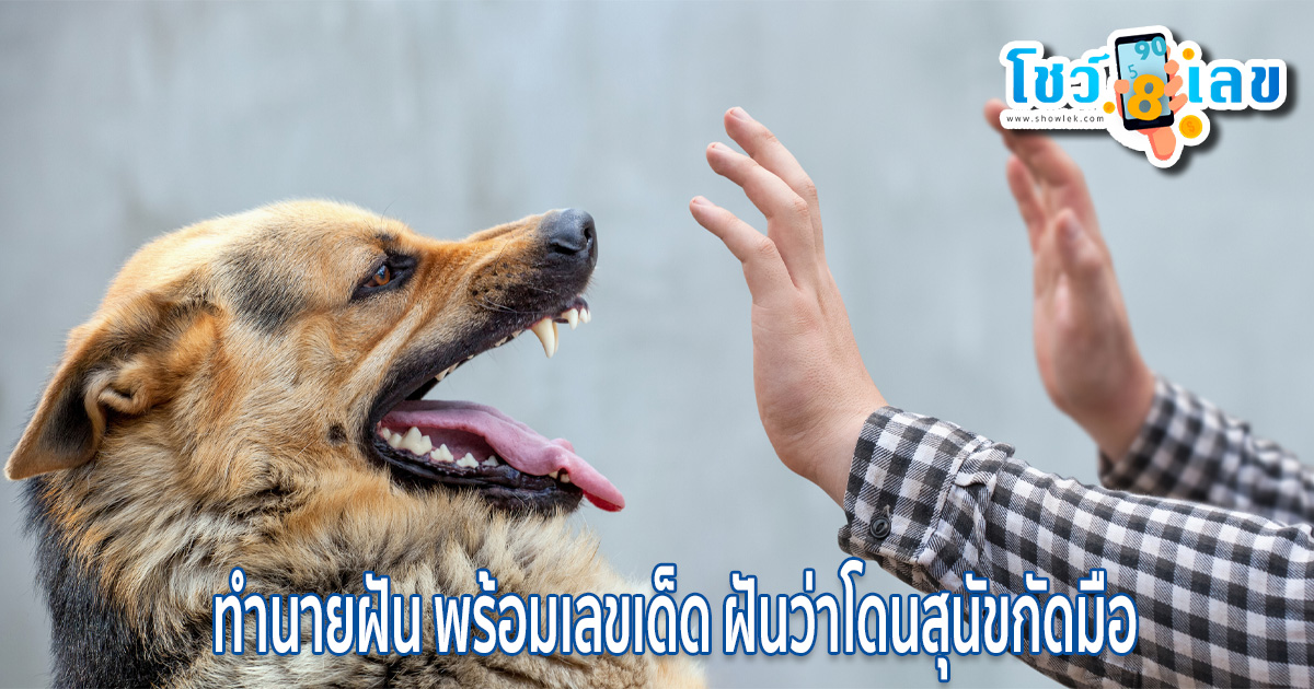 ฝันว่าหมากัด เป็นลางดีหรือลางร้าย เลขให้โชคมีเลขอะไรบ้าง ทำนายฝันพร้อมให้เลขเด็ด พารวยรับโชค
