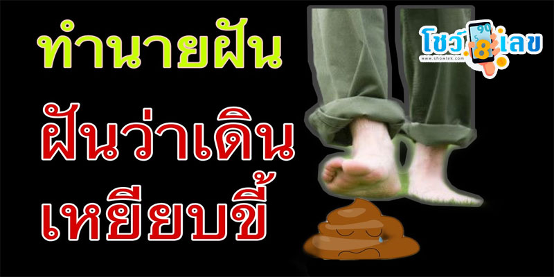ฝันว่าเหยียบขี้หมา -"Dreaming of stepping on dog poop, lucky number."