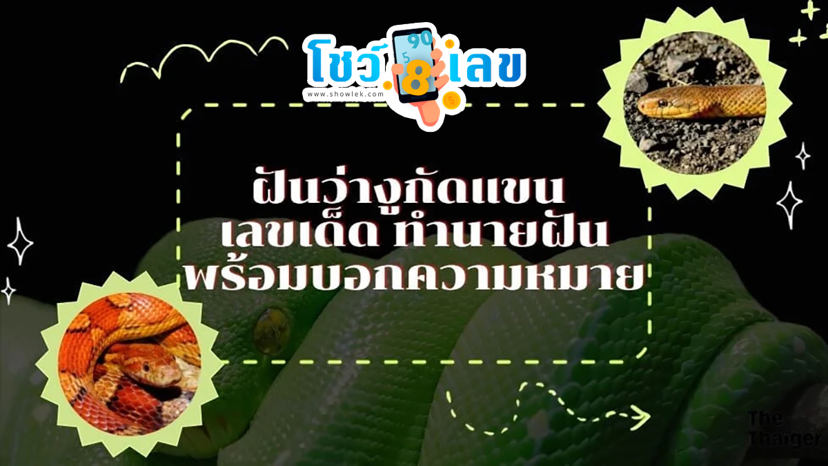 ฝันว่างูกัดแขน เป็นลางดีหรือลางร้าย เลขให้โชคมีเลขอะไรบ้าง ทำนายฝันพร้อมให้เลขเด็ด พารวยรับโชค