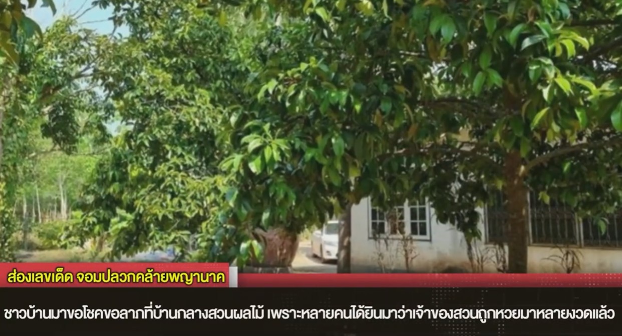 ส่องเลขจอมปลวก-"Look at lucky numbers on tv"