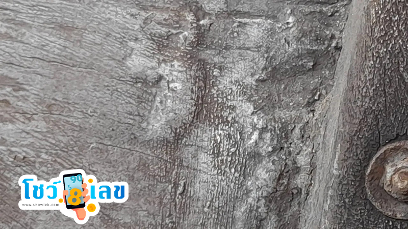 เลขเด็ดวันนี้-"Today's lucky number"