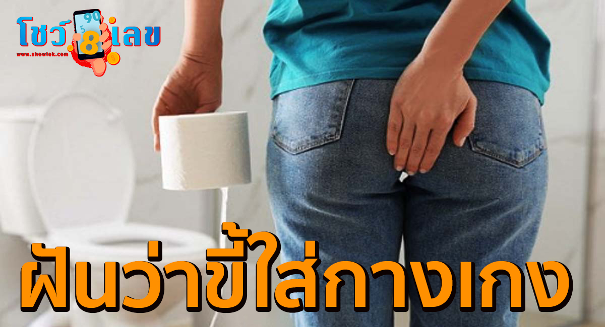 ฝันว่าขี้ใส่กางเกง ทำนายว่าอย่างไร? พร้อมตีเลขเด็ด ตามความฝัน ดูคำทำนาย แม่น ๆ ได้ที่นี่ showlek