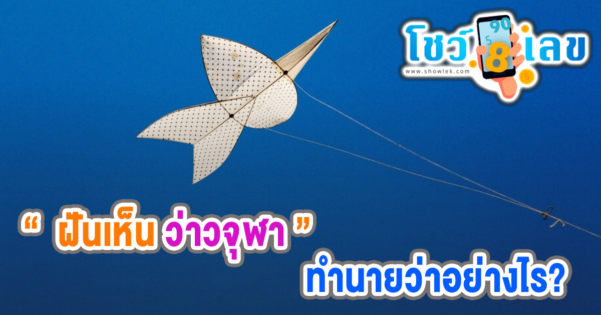 ฝันเห็นว่าวจุฬา ทำนายว่าอย่างไร? พร้อมตีเลขเด็ด ตามความฝัน ดูคำทำนาย แม่น ๆ ได้ที่นี่ โชว์เลข