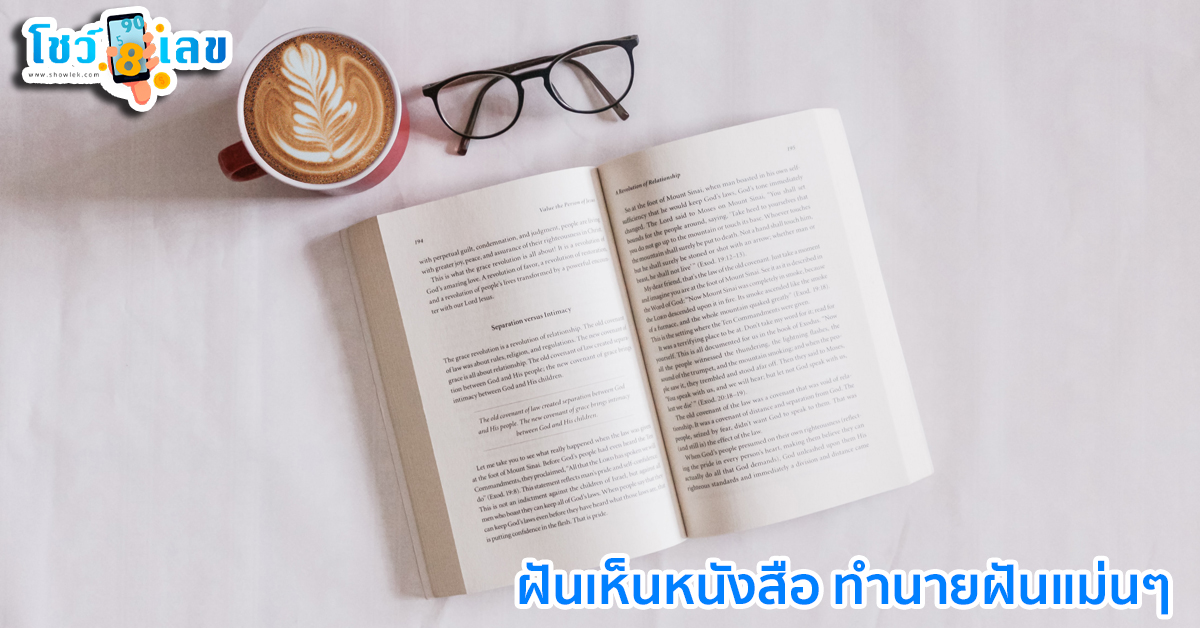 ฝันเห็นหนังสือ-"Dreaming of a book"