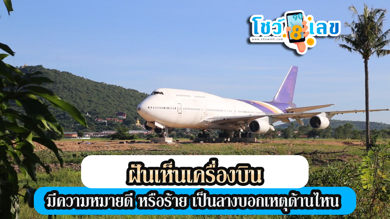 ฝันเห็นเครื่องบินลงจอดกลางทุ่งนา-"Dreamed of seeing a plane land in the middle of a rice field."