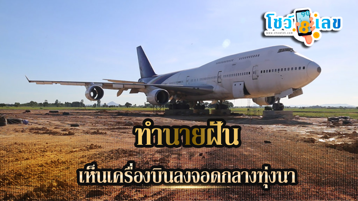 ฝันเห็นเครื่องบินลงจอดกลางทุ่งนา  ทำนายฝันหมายถึงอะไร เลขมงคลโชคลาภเลขอะไร เช็กได้ที่นี่